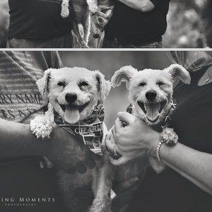 Meet your Posher, Renee